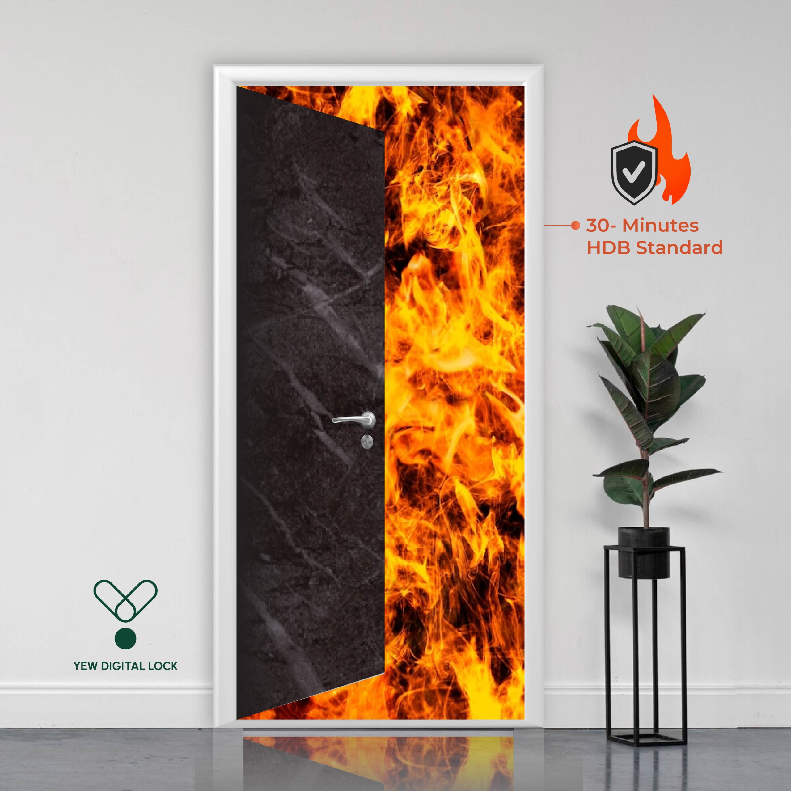 Yew Solid Main Door | 30mins Fire-Rated