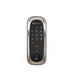 (Gold) Solity GD-65B | Digital Gate Lock Front